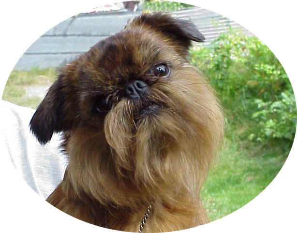 HE copy.jpg (121401 bytes)